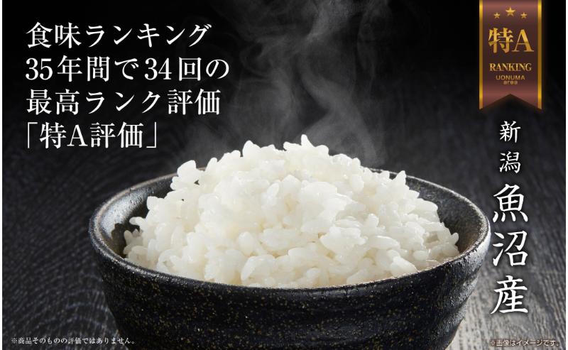 令和7年産 ｜無洗米｜ 魚沼産 コシヒカリ 5kg お米 こしひかり 新潟