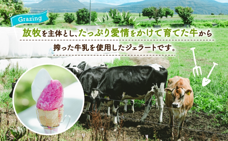北海道 まきばのジェラート かぼちゃ130ml×6個 カボチャ 南瓜