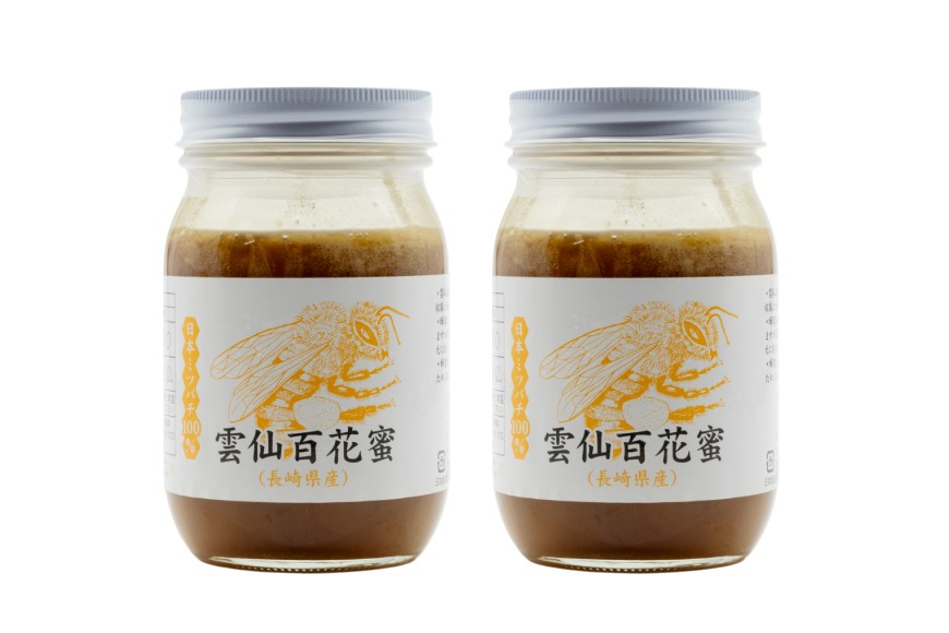 AJ446 はちみつ 国産 百花蜜 500g 2個 日本ミツバチ 純粋 100% [ 安中