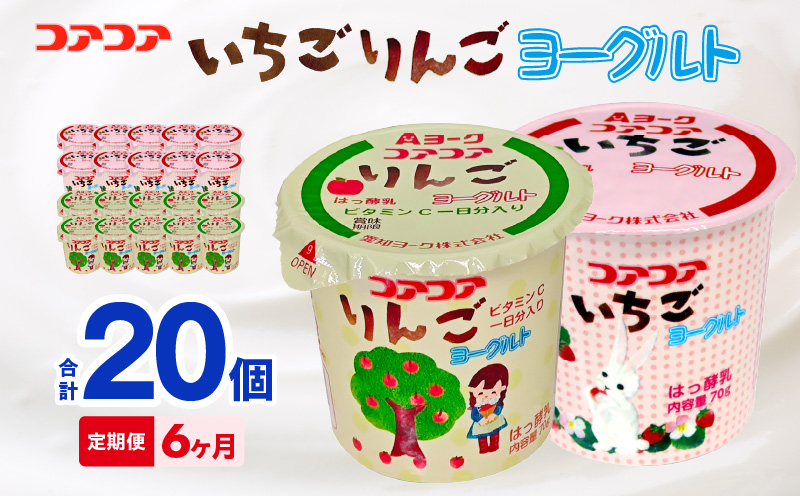 6ヶ月定期便】愛知ヨーク コアコアいちご・コアコアりんご 20個入