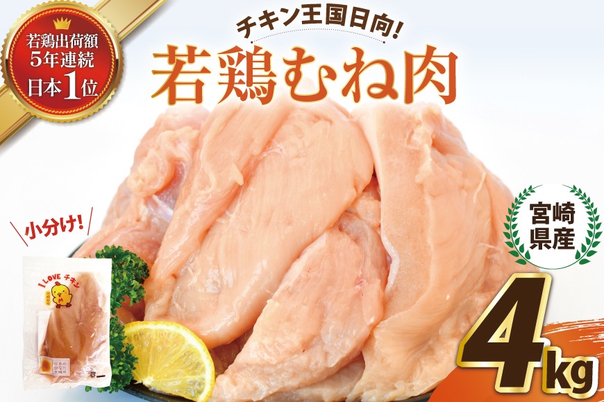 鶏 AW博T 鶏色（通販限定） – SR猫柳本線 猫キヲスク