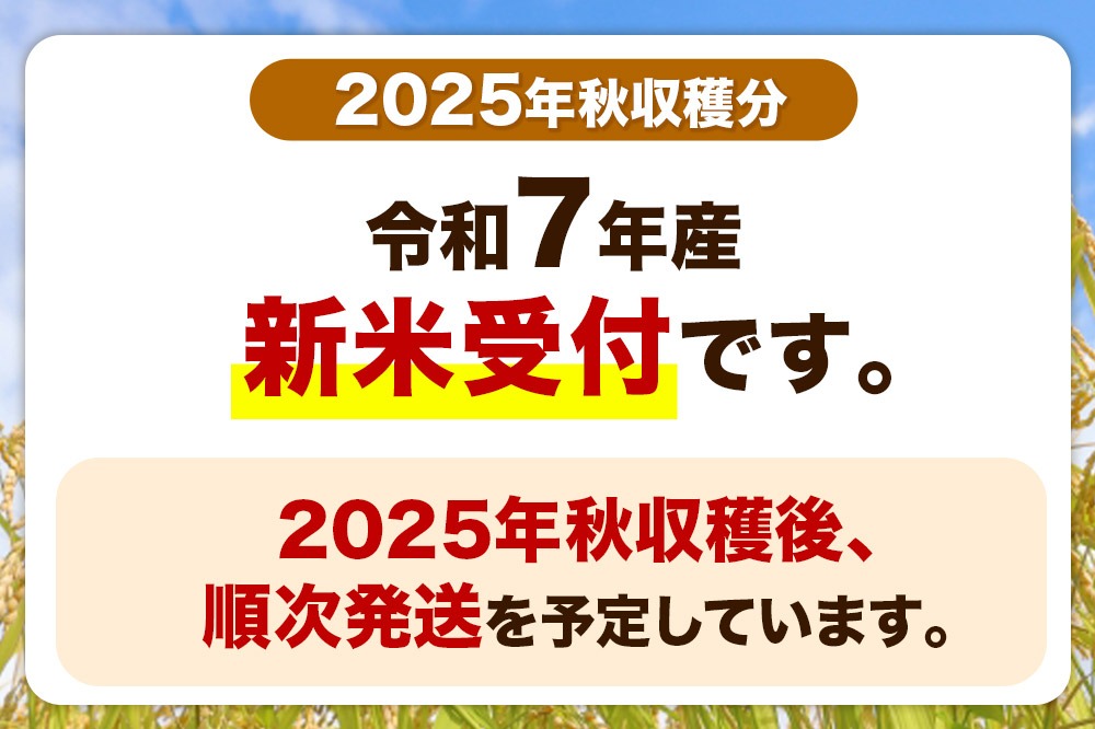 令和7年産 新米受付》《定期便8ヶ月》【白米】秋田県産