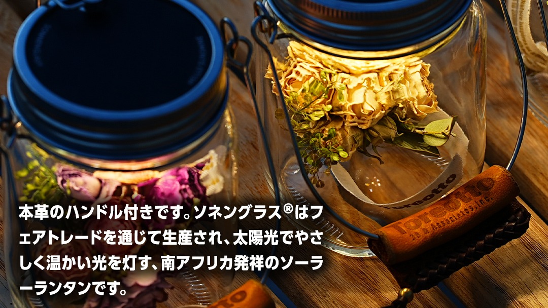 sonnenglas mini 38explore toreotto38 38kenkyujo8 ソネングラス