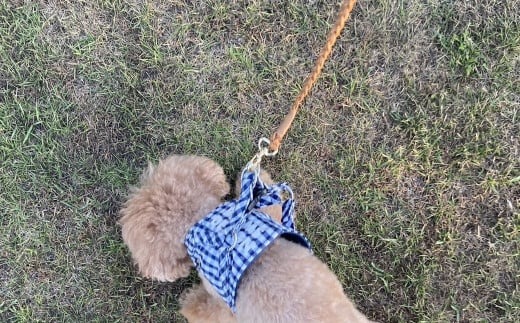 3d913c1b-d98a-4485-83b2-