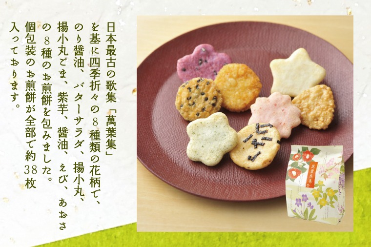 三州製菓お菓子のバラエティセット【埼玉県 春日部市 せんべい 揚げ