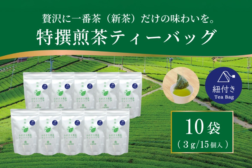 お茶 ティーバッグ 特撰 みやざき煎茶 紐付き 10袋 セット [谷岩茶舗