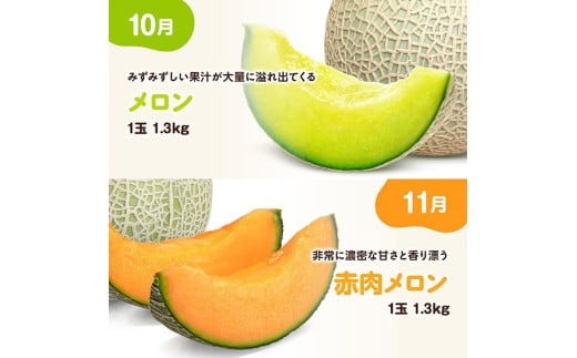 期間限定※【3ヶ月定期便】メロンといちごの定期便Vol.1【 川南町
