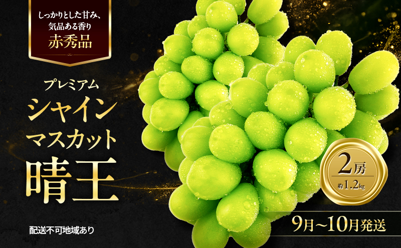 岡山県産　赤秀 シャインマスカット晴王　約1.2kg 2房入 ぶどう 2026年 先行予約 赤秀ぶどう プレミアム シャインマスカット 晴
