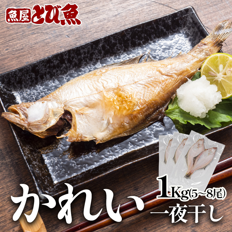 エテカレイ干物 1kg(5～8尾) 魚 干物 エテカレイ 加工食品 ひらき 魚介