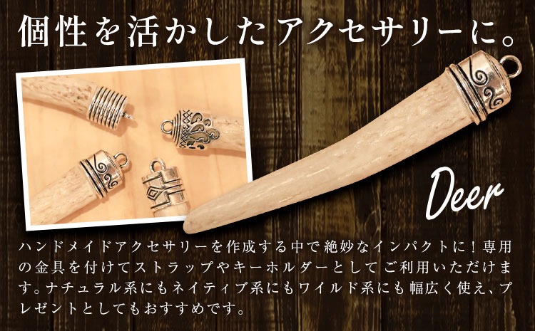 CF】天然・鹿の角アクセサリー用パーツ 【配送不可地域あり