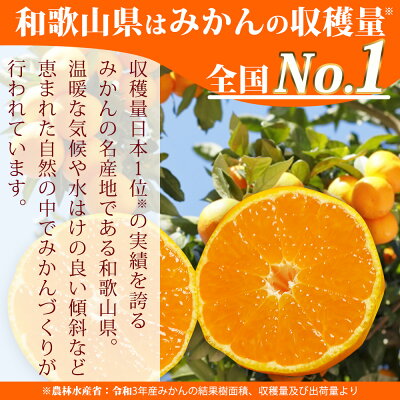 大玉4·5kg 　品種中生・訳あり和歌山みかん 2026年先行予約】（大玉）和歌山県産 有田みかん 5kg ひとつひとつ手