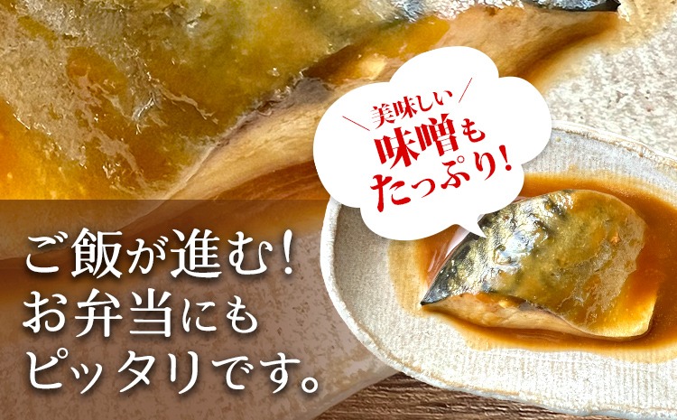 鯖味噌様 ご相談ページ 定期便】骨なし 鯖の味噌煮 （合計4回） 魚 海産物 魚介 海鮮 惣菜