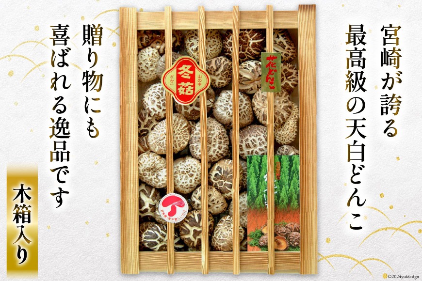 宮崎県産 乾椎茸 ギフト 天白 どんこ 「K-100」 290g 肉厚 [岡田商店