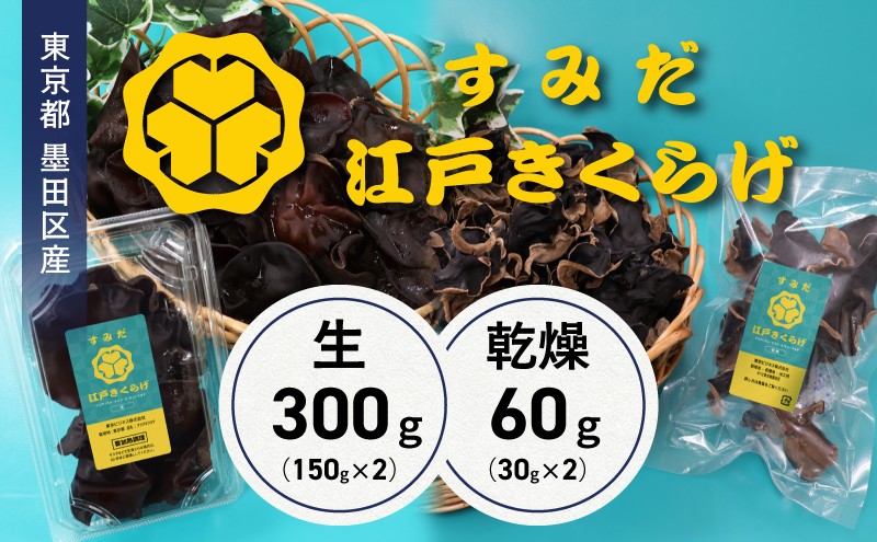 東京都墨田区産 生キクラゲ300g（150g×2パック）、乾燥キクラゲ60g