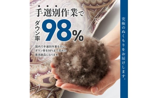甲州羽毛ふとん】肌掛シルクプリント手選別アイダーダウン（シングル