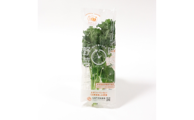 野菜セット ケール 8p 水耕栽培 葉物野菜 緑黄色野菜 洗わずに食べ