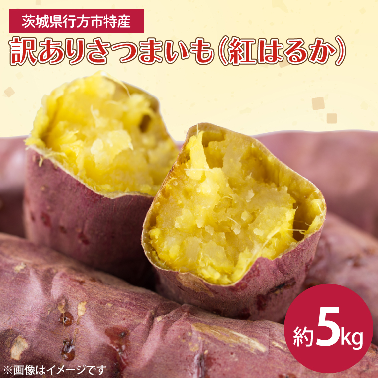 茨城県産 紅はるか 訳あり サイズミックス 約5kg｜訳あり わけあり 訳