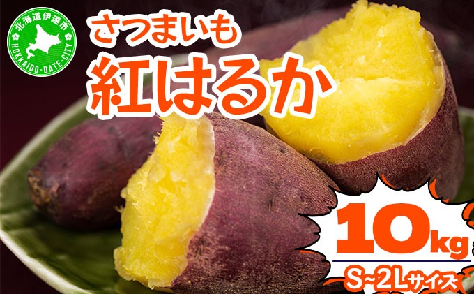 先行予約＞《高糖度》さつまいも 紅はるか 10kg｜産地直送 熟成