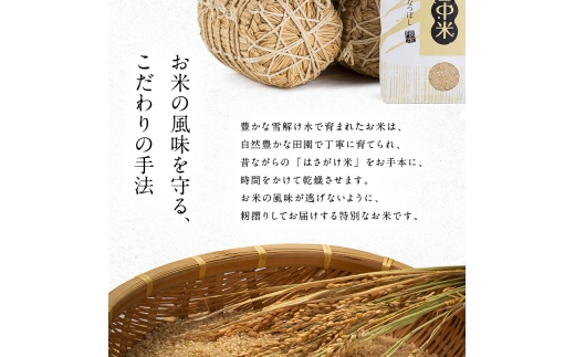 令和8年産 特Aランク米 ゆめぴりか 玄米 20kg（10kg×2袋）【5月発送