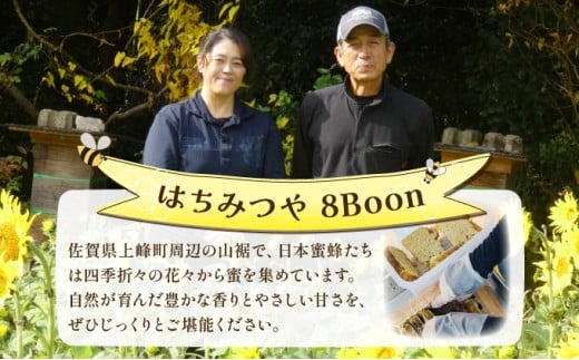 内容量が選べる】日本蜜蜂の純粋はちみつ 500g～600g または 日本蜜蜂