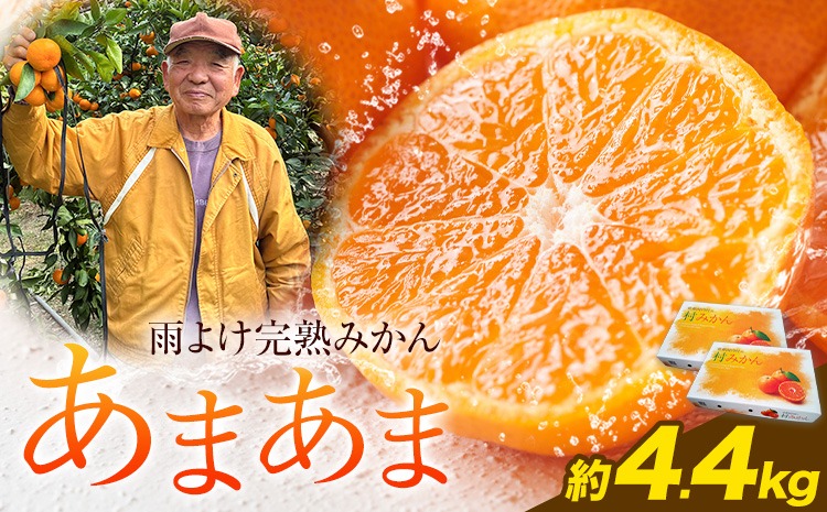 みかんページ 雨よけ完熟みかん「あまあま」 約4.4kg 正木久之《12月下旬-1月中旬
