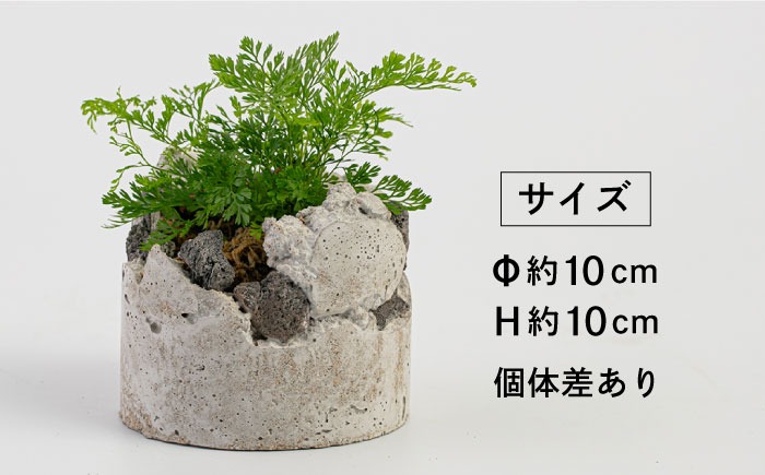 42cfbf97-3cfb-4e76-95fa-