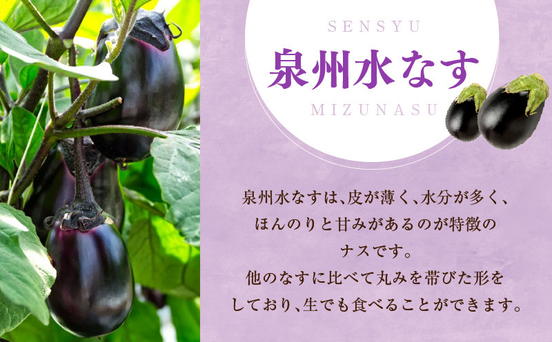 005A058 【先行予約】特選 無添加 水なす漬け 徳用水ナス セット【食べ