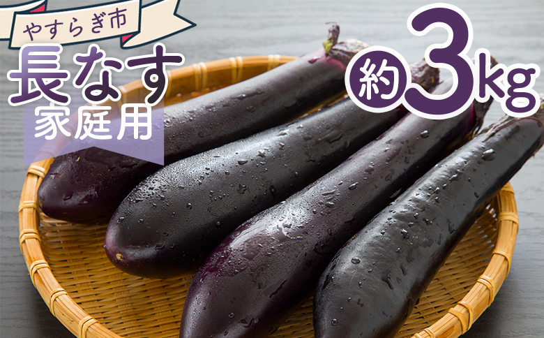 2026年10月中旬以降発送】長なす 3kg 家庭用 yr-0072（高知県香南市