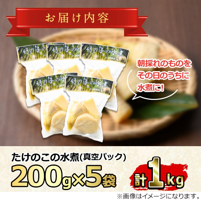 0125925a】＜期間限定・数量限定＞採れたて新鮮！物産館おススメ