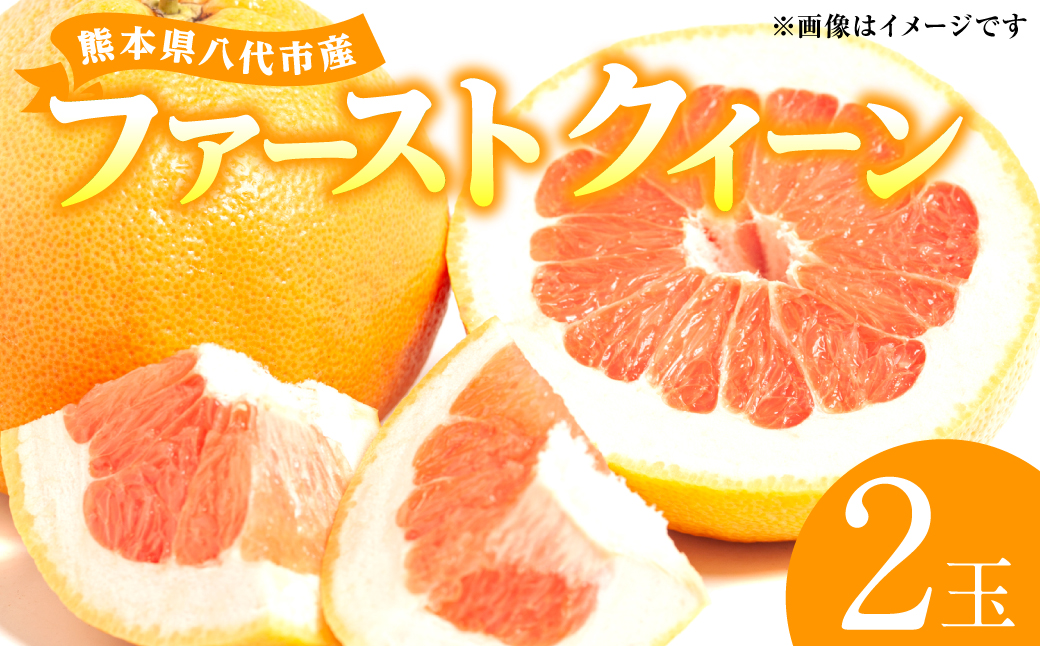 チャンドラポメロ　文旦　ウチムラサキ　8kg グリーンコープ 産直市場 / 東果樹園 減農薬栽培 チャンドラポメロ 2026