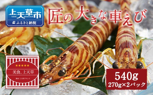 上天草ブランド認証品】 匠の大きな車えび【活き締め急速冷凍】 270g×2