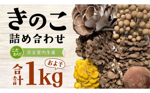 きのこ の 詰め合わせ Sサイズ ( 約1kg ) （茨城県共通返礼品：城里町