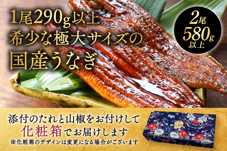 国産 希少 超極大 特上うなぎ(290g×2尾)【OT000O290】（北海道別海町