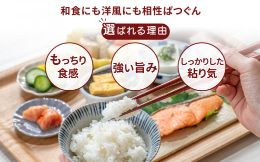 令和7年産米 精米5kg×2袋、計10kg 土浦市産コシヒカリ ホタルが舞う里