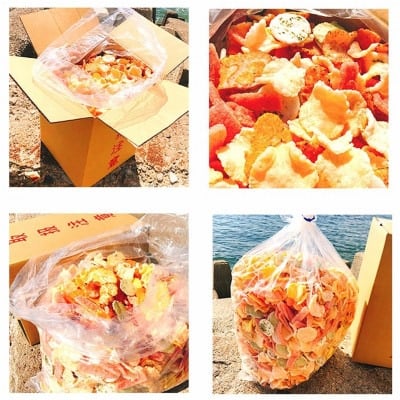 定期便 毎月3回】えびせんべい お得箱 4.5kg (1回1.5kg) 大量
