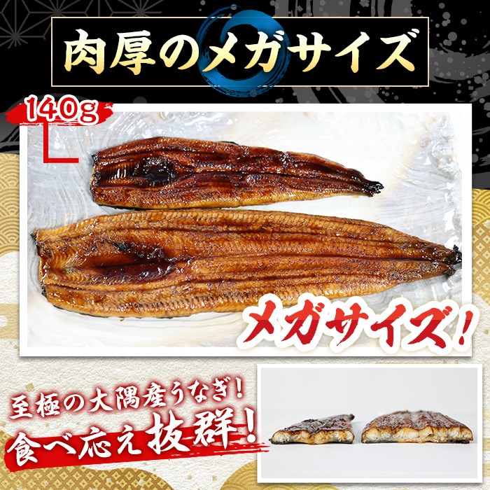 0104312a】東串良町のうなぎ蒲焼(無頭)＜メガサイズ＞(1尾・300g以上