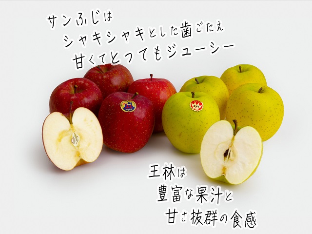 りんご 青森 サンふじ 王林 約 5kg (12～18玉) リンゴ 詰め合わせ