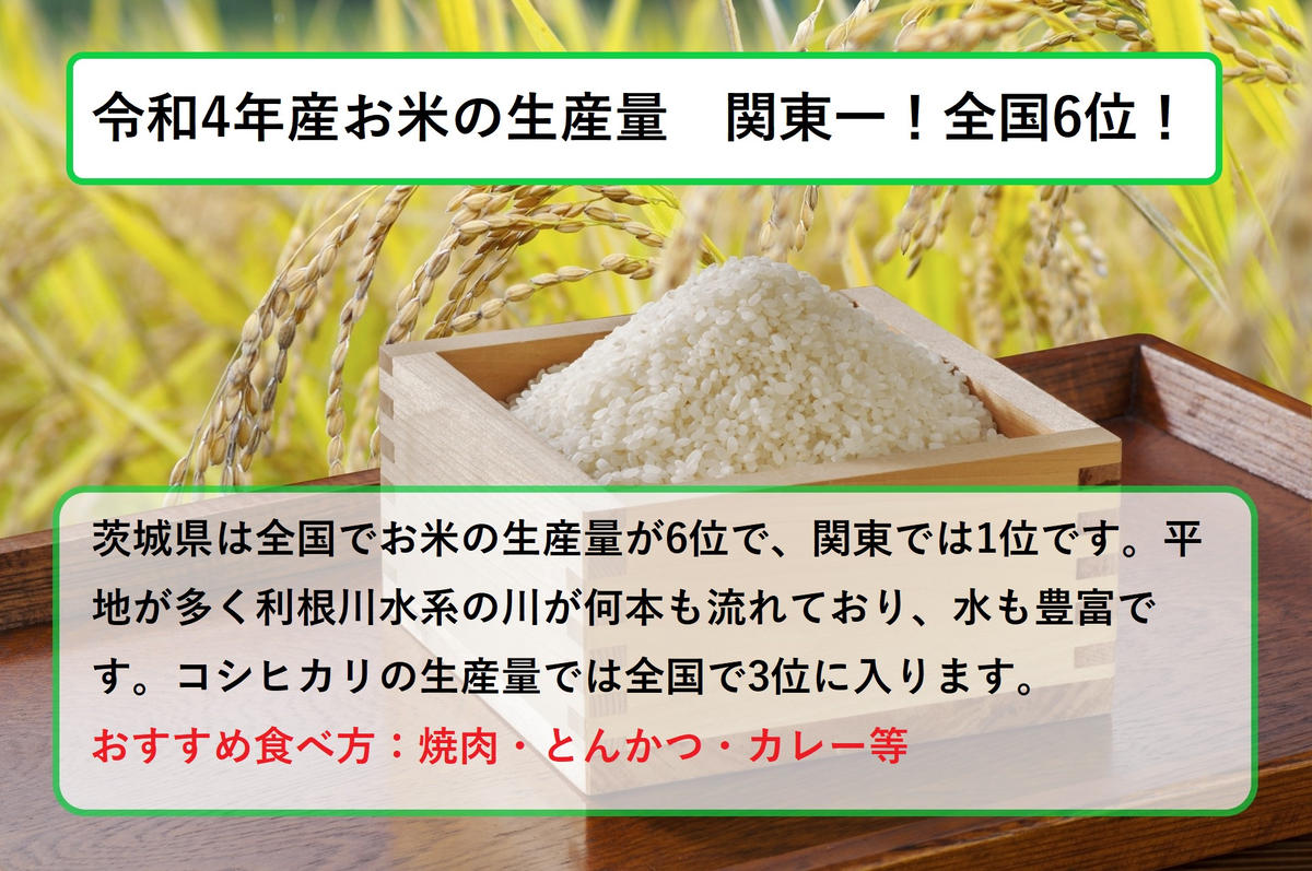 令和8年産 茨城コシヒカリ 2kg（2kg×1袋）（茨城県守谷市） | ふるさと