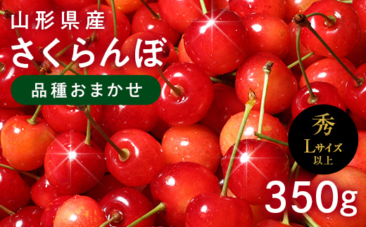 FYN6-526 ≪2026年先行予約≫山形県産 さくらんぼ 品種おまかせ(佐藤錦