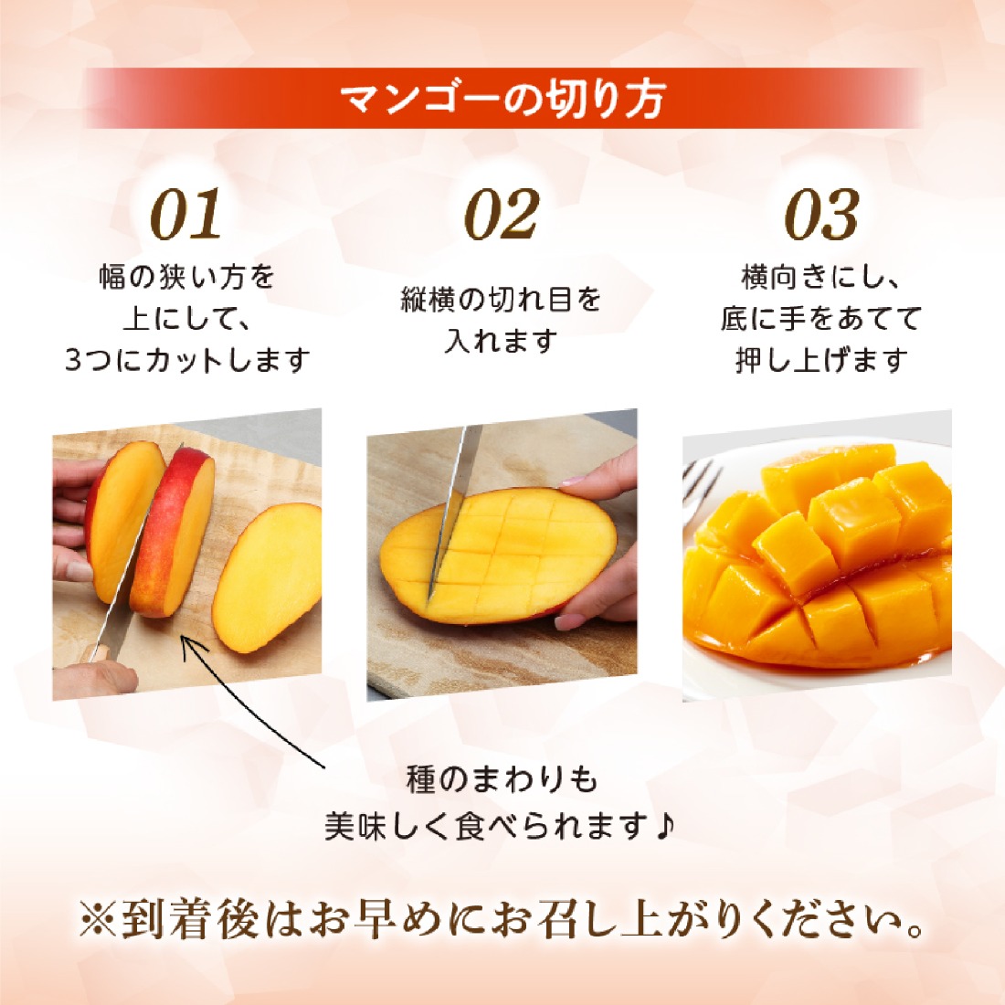 2026年発送 先行予約】生産農家応援・濃厚果肉 みやざき完熟マンゴー