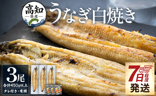 うなぎ 白焼き 高知県産うなぎの白焼き 150～180g×3尾 早い スピード