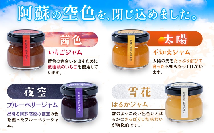阿蘇果蜜ジャム4種セット 35g×4本 木之内農園 ジャム《30日以内に出荷