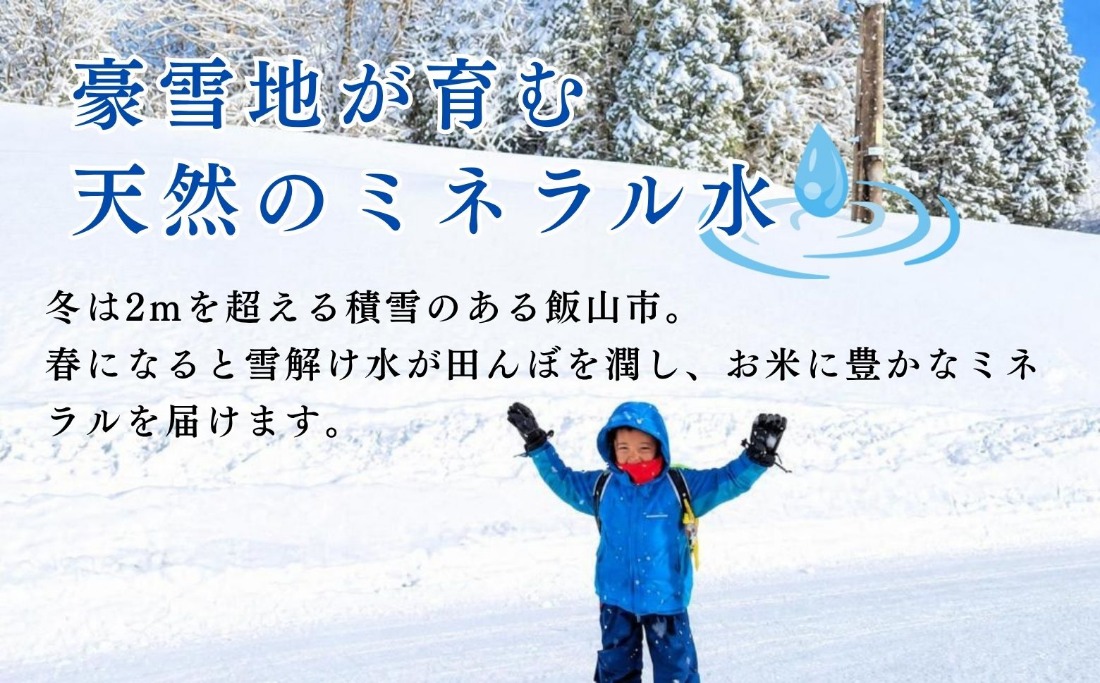 先行予約】《 令和8年産 新米 》 こしひかり 精米 20kg（5kg×4袋