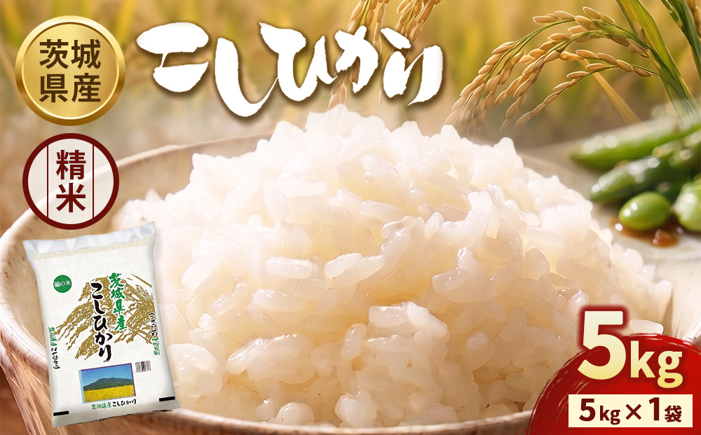 令和7年産】茨城コシヒカリ 5kg×1袋【精米】 | お米 米 こしひかり
