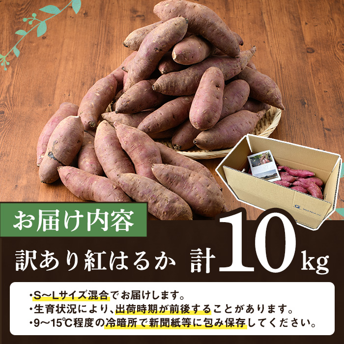 20Kg 大人気商品復活！　甘〜い　九州産　熟成紅はるか　大容量　さつまいも 訳あり！鹿児島県産さつまいも「紅はるか」(計10kg) 大容量 国産 熟成