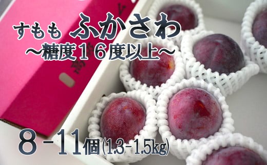 2025年発送分】【糖度16度以上！】すもも『ふかさわ』（8〜11個入り/約