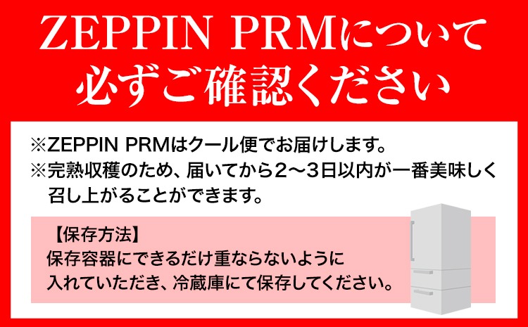トマト フルーツトマト ZEPPIN PRM(プレミアム) 500g《120日以内