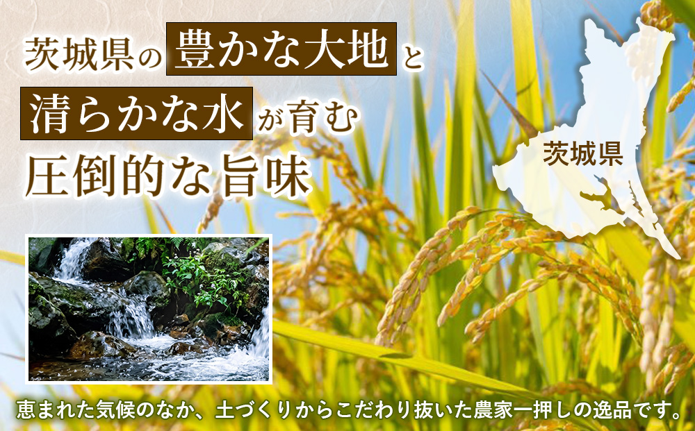 令和8年産】茨城コシヒカリ【無洗米】 10kg（5kg×2袋） | お米 米 無