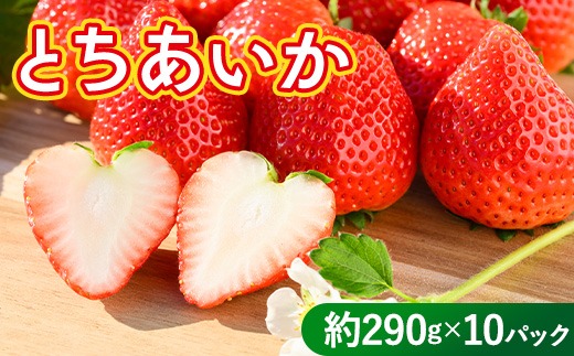 いちご（とちあいか） 290g×10パック 2.9kg以上｜先行予約 数量限定