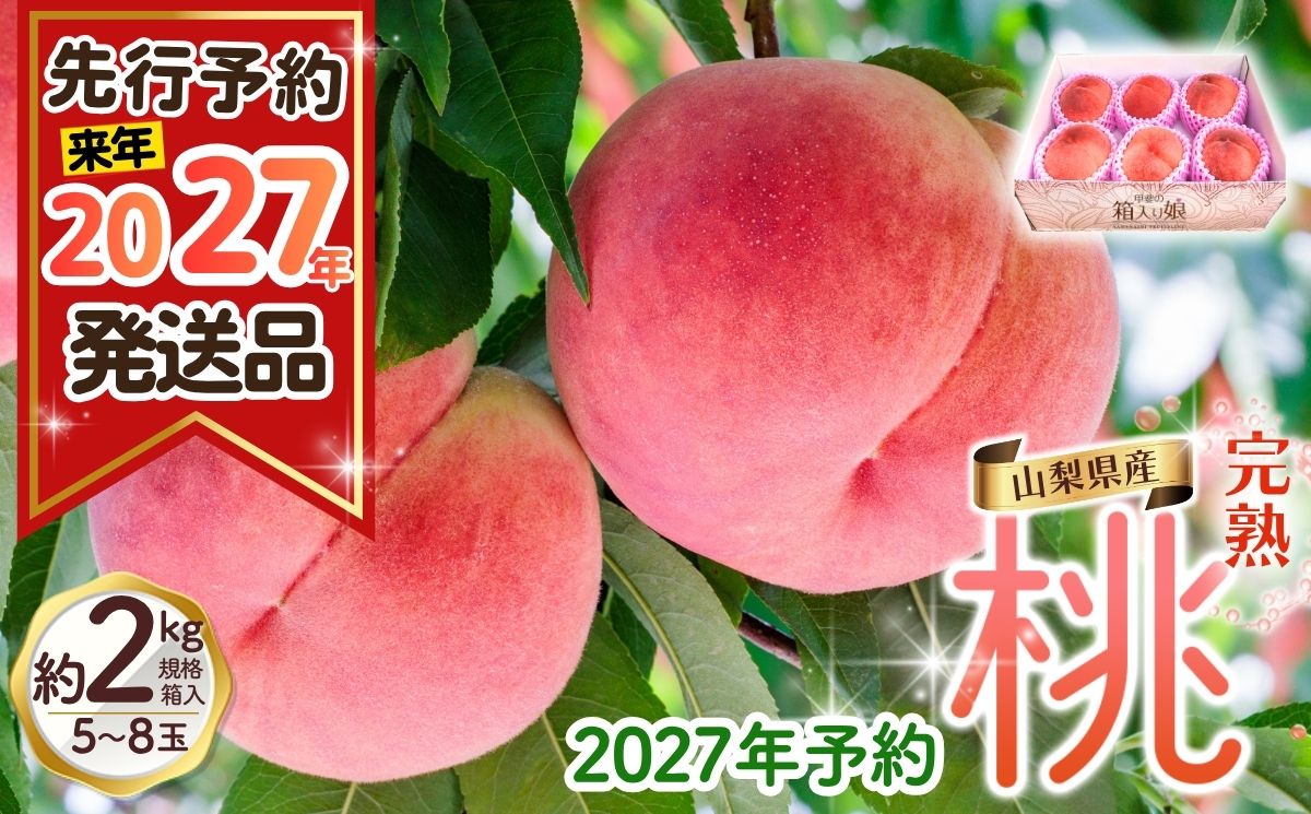 来年2027年出荷分 先行予約】朝もぎ直送!『山梨県産 桃』約5～8玉 約